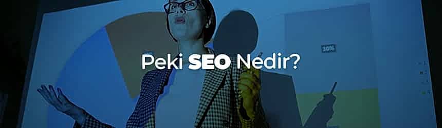 SEO Nedir? SEO Nedir?