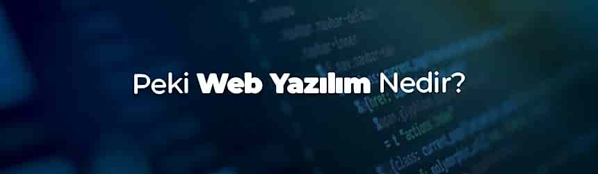 Web Yazılım Nedir? Web Yazılım Nedir?